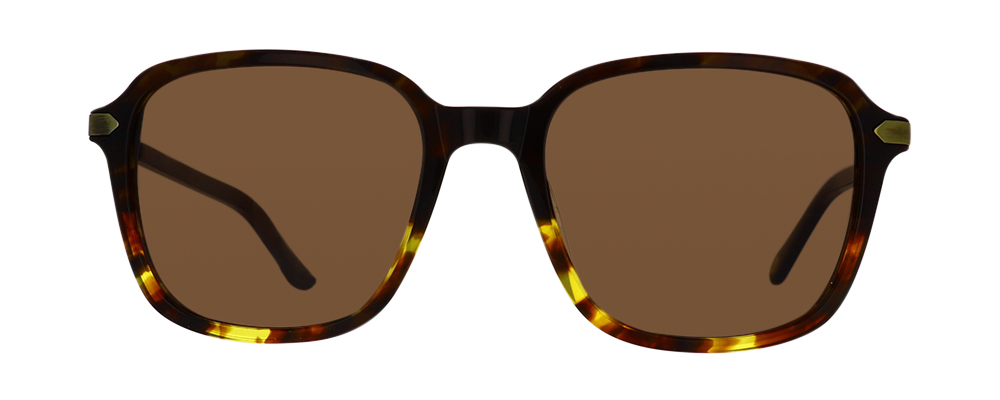FOSSIL-FOS2095/G/S-05L-51