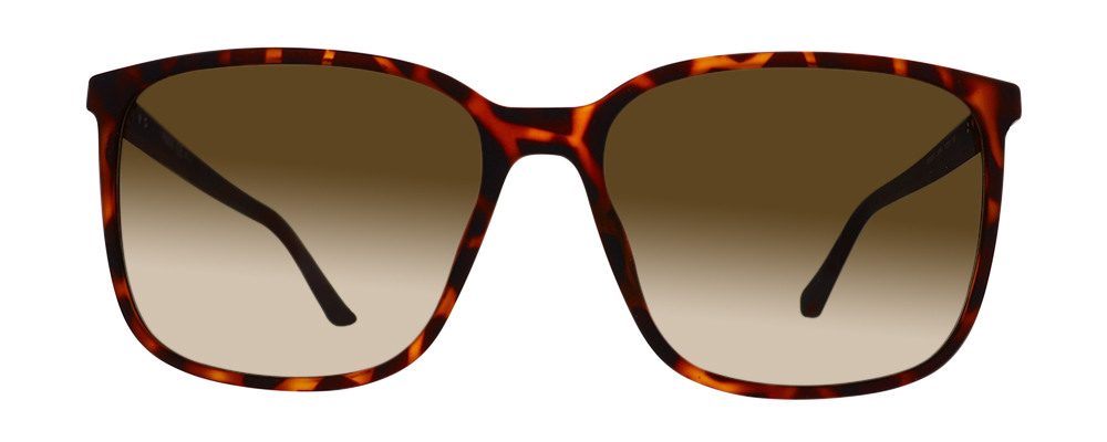 FOSSIL-FOS3081/S-N9P-57